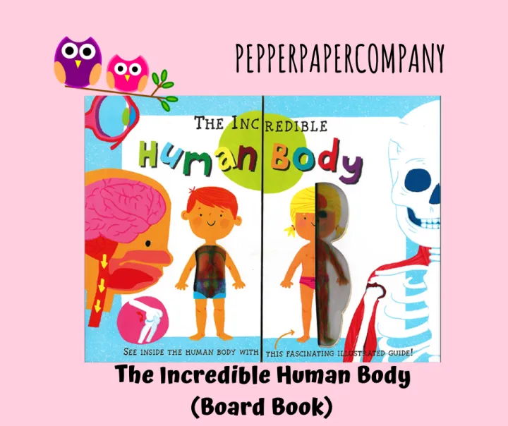 THE INCREDIBLE HUMAN BODY EXPLAINED FOR THE YOUNGER READER BOARD BOOK ...