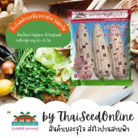 ADV ถุง 500กรัม ?ใหม่?เมล็ดพันธุ์ข้าวโพดข้าวเหนียว ขาวม่วง 500 กรัม ตราตะวันต้นกล้า