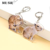 【DT】Creative Capybara Acrylic Keychain KeyRing Cute Cartoon Animal Capybaras Popular for Women Bag Car Key Pendant Accessories Gifts hot