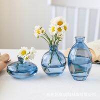 New light luxury gold-painted transparent colored glass vase flower arrangement hydroponic flower ware handicraft ornaments