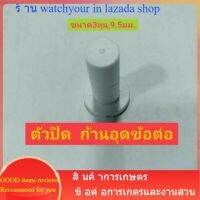 ตัวปิดข้อต่อ ขนาด3หุน ก้านปิด ก้านพลาสติกอุดข้อต่อ ตัวจบข้อต่อ ระบบน้ำ ระบบพ่นหมอก กรองน้ำ ก้านอุดข้อต่อ