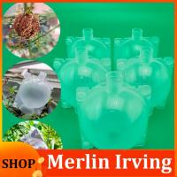 Merlin Irving Shop 5cm Nursery Pots High Pressure Graft Breeding Branch CaseTransparent Propagation Tree Plant Rooting Ball Root Grow Box