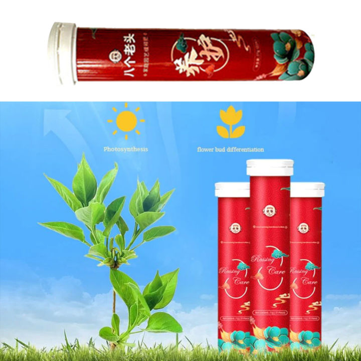 100g Gardening Universal SlowRelease Tablet Organic Fertilizer Plant