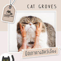 ?พร้อมส่งที่ไทย? มือปลอม เกาคางแมว มือปลอมสำหรับสวมนิ้ว มือซิลิโคน เกาหัวแมว นวดหัวแมว ของเล่นแมว ถุงมือแมว มืองเกาคาง