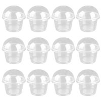 【CW】☼  20pcs 250ml Disposable Transparent Salad Dessert Cups With Cover Cup Lid (Transparent)