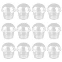 【CW】卍◇  20pcs 250ml Disposable Transparent Salad Dessert Cups With Cover Cup Lid (Transparent)