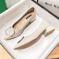 Pointed single shoe womens thick sole fashion new spring and autumn season versatile small fragrant wind shallow mouth soft sole one foot pedal four season ladybug shoes