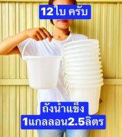 12ใบ  ขนาด2.5ลิตร(1แกลลอน)    ถังน้ำแข็ง   หูหิ้ว  ปากกว้าง19ซม สูง 16ซม    ถังน้ำ  ใช้บรรจุ น้ำ ของเหลว น้ำแข็งได้