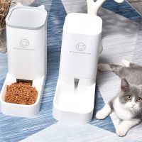 Cat Feeder Pet Dog Automatic Drinking Water Feeder Cat Automatic Drinking Dog Bowl Automatic Pet Feeder Dog Food Combination