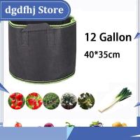 Dgdfhj Shop 12 Gallon Plant Grow Bag Large Capacity Flower Pot Vegetable Reusable Fabric Plant Growing Bags Garden Tools Supplies