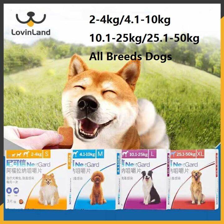 NexGard Chewable Tablets for Dogs Flea Tick Treatment Teddy Golden