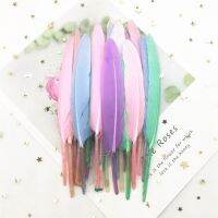 Feather Colorful Dyed Plumes Headdress Wedding Bouquet Decoration for 50pcs