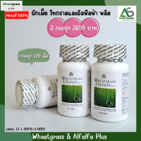 (3 กระปุก 360 เม็ด) Wheatgrass &amp; Alfalfa Plus ผักเม็ด แอมสตรอง ? ผลิตภัณฑ์อาหารเสริม ของแท้ อาหารเสริมแอมสตรอง สูตรดั้งเดิม