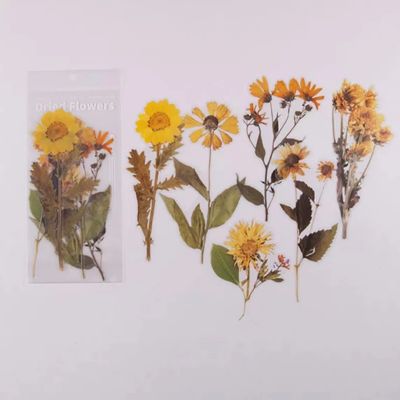 O•urHome [สติ๊กเกอร์พ็อกเก็ตพืช] 6pcs Decorative Dried Flower Stickers สติ๊กเกอร์ ดอกไม้แห้ง เกอร์ตกแต่งสมุดติดวางแผนวารสารการเดินทางสติกเกอร์เครื่องเขีย