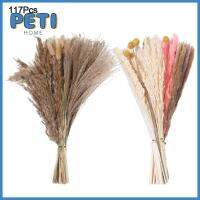 Pethome สไตล์ตะวันตก Phragmites หญ้าหางกระต่ายสีขาวการตกแต่งบ้านช่อดอกไม้ผสมธรรมชาติ17นิ้ว Pampas ปุยแห้ง Pampas หญ้าเทียม Boho