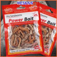 HESONG 1Pack ร้อน ใหม่ Peche Worms 6g 10g เหยื่อซิลิโคน หนอนใยแห้ง เหยื่อตกปลา หนอนทราย