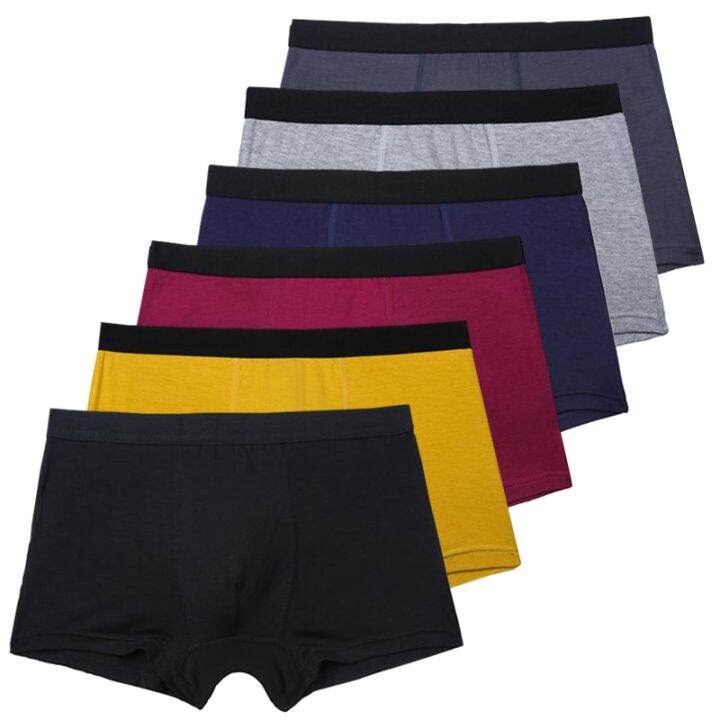 pant boxers