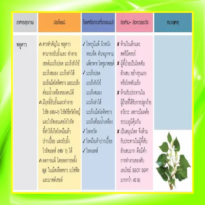 เบต้า-พลูคาว-กิฟฟารีน-beta-plu-kao-giffarine-ผสมเบต้า-กลูแคน-ภูมิแพ้-เป็นหวัด