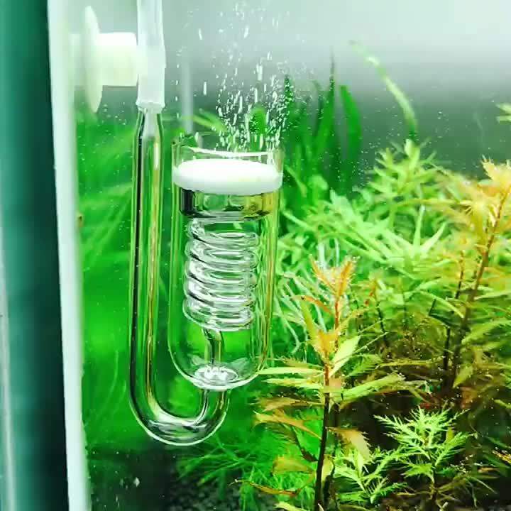 CO2 Diffuser Aquarium Glass Spiral Carbon Dioxide Diffuser CO2 Monitor