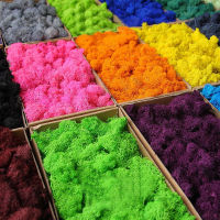 500g Colorful Moss Preserved Dried Flower High Quality DIY Making Material Giftbox Home Garden Bookroom Wedding Wall Decoration