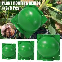 5PCS Plant Rooting Equipment High Pressure Propagation Ball Graft Box Breeding Case For Garden Graft Box Sapling