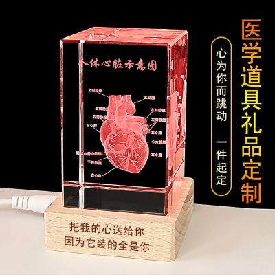 Crystal heart furnishing articles within the three-dimensional carving customization model of human organs anatomical bone doctor graduation gift