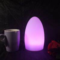 D11*H19cm 16 Color Change Rechargeable wirless portable luminaire led Egg PE Lamp RGB Night lights Skybesstech Free shipping 1pc