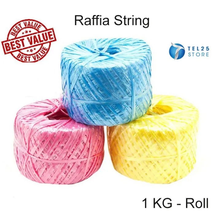 [ 1 UNIT ] 1 Kg / 250g Thick Plastic Raffia String / Rope / Tali Rafia Plastik Kasar Lazada