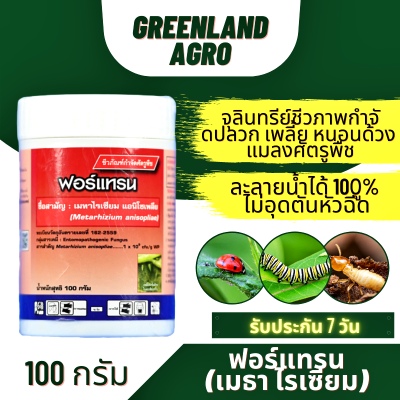 THAIGREENAGRO ฟอร์แทรน(เมธาไรเซียม) จุลินทรีย์ชีวภาพกำจัดปลวก เพลี้ย หนอนด้วง แมลงศัตรูพืช