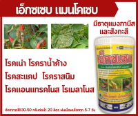 เอ็กซเซบ(สีเหลือง) เเมนโคเซบ 1Kg. โรคเน่า ราน้ำค้าง ใบจุด ใบไหม้