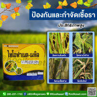 ไทโอฟาเนต 1000 กรัมกำจัดราน้ำค้าง ใบจุดโรคใบไหม้ โรคใบขีดสีน้ำตาล โรคเมล็ดด่างในข้าวโรคแผลสะเก็ด โรคเมลาโนส โรคราสีชมพู คูลเกษตรKF55