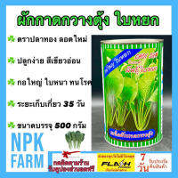 กวางตุ้งต้น ใบหยก ขนาด 500 กรัม หมดอายุ04/2567 ปลาทอง ลอตใหม่ ปลูกง่าย โตเร็ว ต้นใหญ่สีเขียวอ่อน กอใหญ่ ใบหนา ทนทานโรค อายุเก็บเกี่ยว 30 วัน