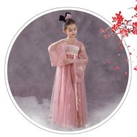 Hanfu ชุดชุนเซียสำหรับเด็กผู้หญิง,เครื่องแต่งกายเด็กผู้หญิงชุดปักชุดแฟนซีจีน