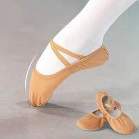 USHINE New Professional Quality Children Dance Slippers Adult Canvas Soft Sole Yoga Gym Ballet Shoes Girls Woman Man Ballerinas