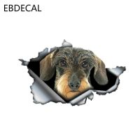 【✎】 GA Auto Lhr EBdecal Dachshund ลวดขนาดเล็กสำหรับรถยนต์/กันชน/หน้าต่าง/สติกเกอร์ตกแต่งผนัง DIY ตกแต่ง CT6237