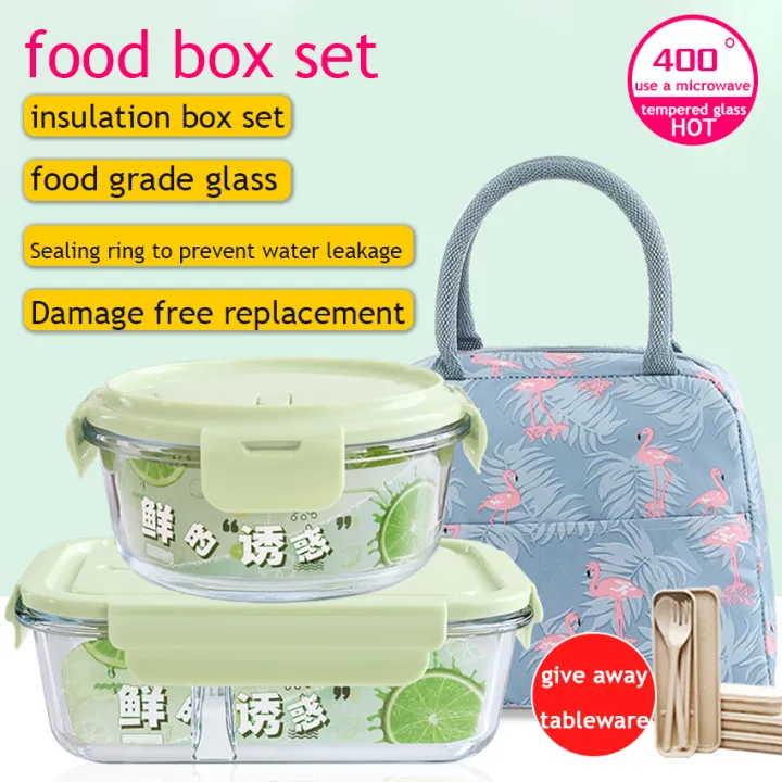 Outdoor Picnic Food Storage Boxes Set Lunch Boxes with Bag Retangular