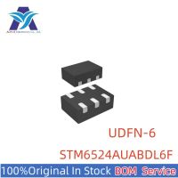 New Original Stock IC Electronic Components DFN-6 STM6524AUABDL6F  STM6524 Monitoring And Reset Chip Series One Stop BOM Service