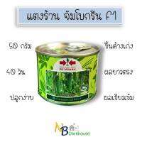 (50 g) แตงร้าน จัมโบกรีน เปอร์เซ็นงอก 99 % ปลูกง่าย 40 วัน ตราศรแดง 0018