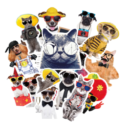 ⚡พร้อมส่ง⚡ 38ชิ้น เพื่อนสี่ขา หมาแมว cat dog หลากสี  สติ๊กเกอร์ sticker พลาสติกกันน้ำ สีคมชัด