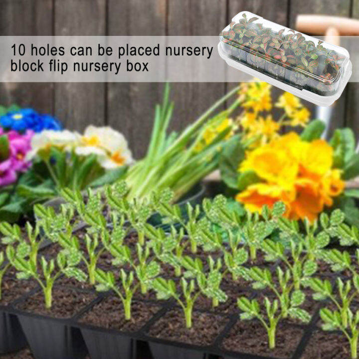 10 PACK Seed Propagator Tray Set, Mini Sturdy Windowsill Trays with