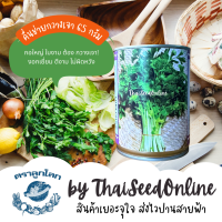 เมล็ดพันธุ์ กป 65 กรัม คื่นช่าย กวางเจา ตราลูกโลก Celery