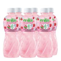 [พร้อมส่ง!!!] กาโตะ น้ำลิ้นจี่25% ผสมวุ้นมะพร้าว 320 มล. แพ็ค 6 ขวดKato 25% Lychee+Nata Coco 320 ml x 6