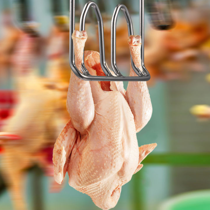 paqiakoi-ตะขอเนื้อสแตนเลสเบ็ดเบ็ดเป็ดที่แขวนไก่ที่แขวนฆ่าแขวนอุปกรณ์แขวนอุปกรณ์แขวน