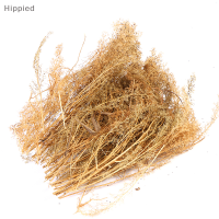 Hippied? รูปแบบสถาปัตยกรรมทรายพืช thorns quinoa ฉากทหาร DIY วัสดุ