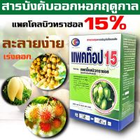 ถูก !! ?แพคโคลบิวทราซอล 15% WP สารควบคุมการเจริญเติบโตของพืชช่วยกระตุ้นการออกดอก ทำให้ออกดอกได้เร็วขึ้นก่อนฤดูกาล?