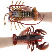 ❈◘ Big Size Animal Figurines Ocean Sea Life Action Figure Simulated Lobster Models Children Kids Baby Toys Gift Collection Toy