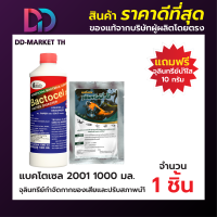 BACTOCEL แบคโตเซล 2001 1000 มล. แถมน้ำใส 10 กรัม 1 ซอง  น้ำยาล้างห้องน้ำ โซดาไฟ ส้วมเหม็น ส้วมเต็ม  ท่อเหม็น ท่อตัน