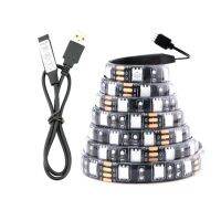 【⊕Good quality⊕】 na07037036036666 ไฟแถบ Led Usb 5V เทปrgb 2835กันน้ำ50ซม.-5ม. ไฟด้านหลังทีวี5V เทปนีออน Rgb Led Strip ไฟไฟยูเอสบี