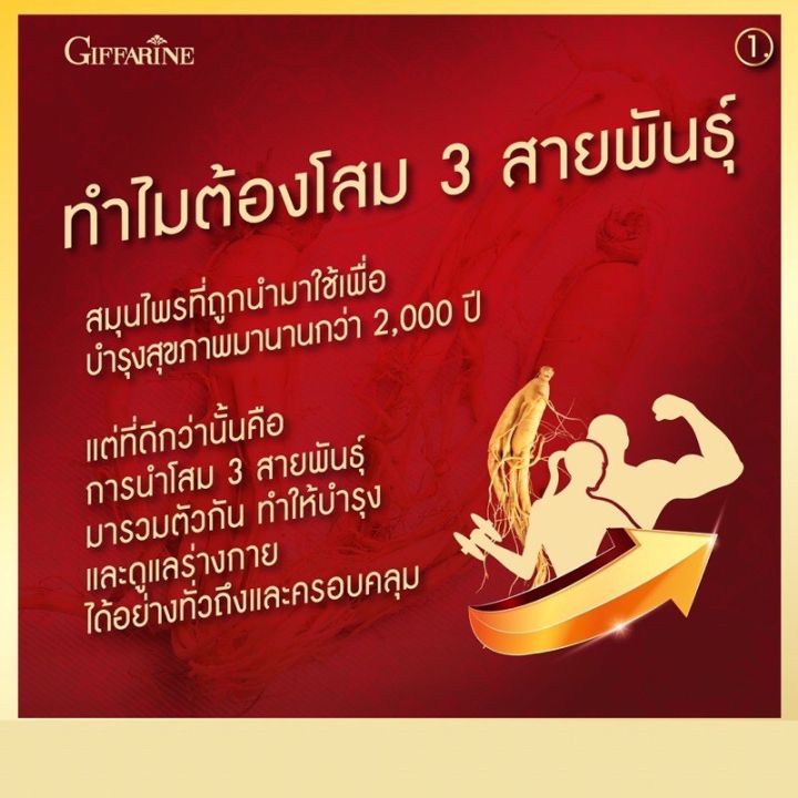 โสม-3-สายพันธุ์-สารสกัดจากโสมแดงเกาหลี-โสมอเมริกัน-โสมไซบีเรีย-โสมสกัด-ชนิดแคปซูล-กิฟฟารีน-ของแท้-ส่งฟรี