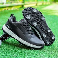 Professional Golf Shoes Mens Professional Golf Shoes Outdoor Luxury Walking Shoes Golf Shoes Anti Slip Sports Shoes